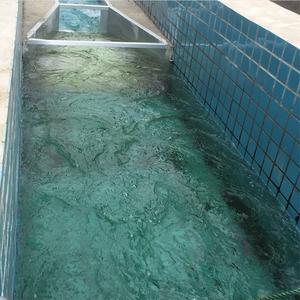 Durabilidad PVDF sumergido 0,2 micras Membrana Mbr/módulo de membrana Mbr bioreaktor/proveedor de sistema de membrana MBR - Product Image 5