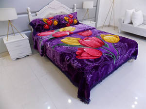 Vente en gros de <span class=keywords><strong>couverture</strong></span> super douce de haute qualité à bas prix ensemble de literie avec taie d'oreiller <span class=keywords><strong>couverture</strong></span> Raschel - Product Image 3