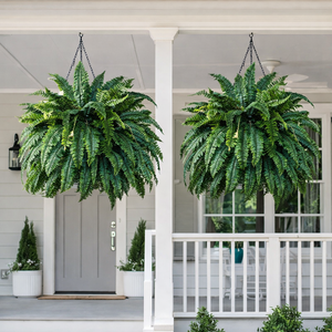 <span class=keywords><strong>Plantes</strong></span> artificielles de fougère de Boston résistantes aux UV <span class=keywords><strong>pour</strong></span> la décoration intérieure et extérieure du jardin, fausse plante <span class=keywords><strong>pour</strong></span> le salon et le bureau, décoration de la maison - Product Image 1