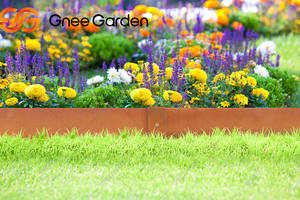 Borde de césped al aire libre moderno de acero flexible para macizos de flores rectangulares - Product Image 2