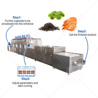 Machine de séchage industrielle à tunnel micro-ondes pour céréales, bois, aliments, noix de cajou, nouilles instantanées, viande, fruits, papier, basilic