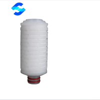 Cartouche filtrante PES mini certifiée CE à filtration absolue 0,22 µm 0,45 µm 2,5 pouces avec adaptateur SK/Baïonnette