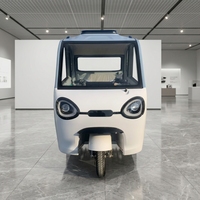 Tricycle électrique entièrement fermé à 2 portes, cabine fermée, 3 roues, véhicule électrique pour adultes, pour les trajets familiaux