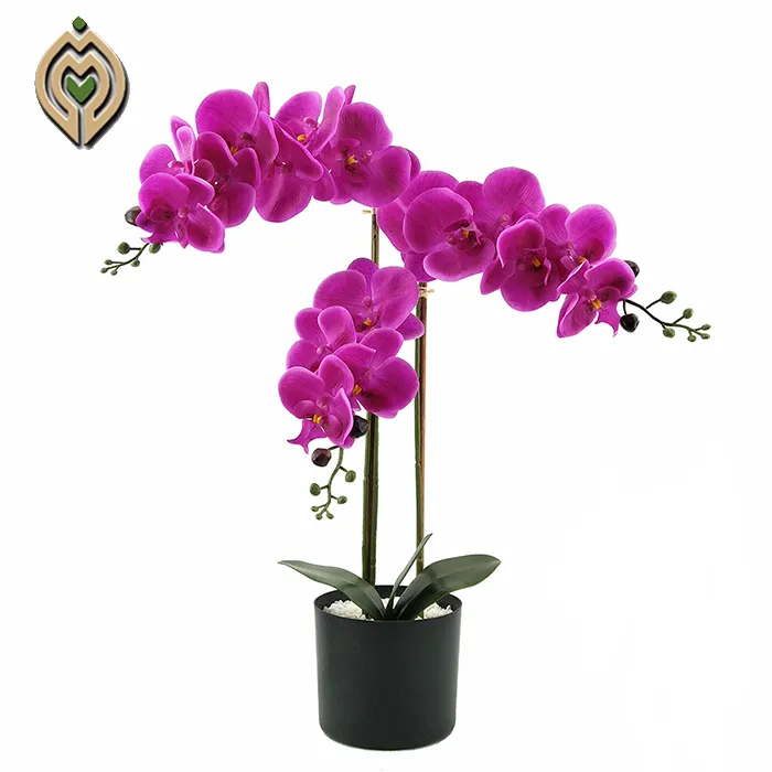 सिमुलेशन थोक कम कीमत एकल स्टेम चीनी Phalaenopsis chinensis तितली आर्किड कृत्रिम फूल सजावट के लिए