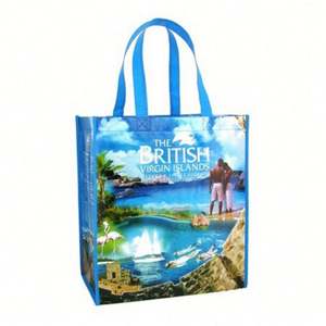 Sac fourre-tout laminé à prix raisonnable de vente directe d'usine Foire de Canton - Product Image 3