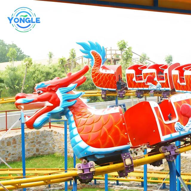Kids Rides Track Train Roller coaster Playground Equipment Sliding Dragon Rides for Sale