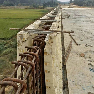 Hfsy tùy chỉnh nhựa chống tác động tường bê tông khuôn đường nền tảng và guardrails của cầu khuôn nhựa Panel ván khuôn - Product Image 3