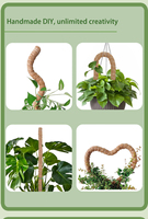Poste trepador de coco Natural P11, poste de musgo flexible, plantas, soporte para vides, palitos de cultivo, palo de palma de coco, estaca para plantas de jardín