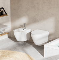 Bidet moderne certifié européen et australien Toilette à réservoir dissimulé Conception à suspension directe Céramique HDPE Articles sanitaires pour salle de bain