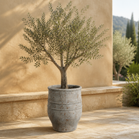 Pot de fleurs antique en ciment, en forme d'urne, effet vieilli, avec motif en corde, pots décoratifs pour plantes d'intérieur et d'extérieur, décoration de jardin et de maison