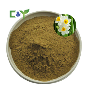 Yüksek kaliteli nersus özü tozu nersus özü nersus tazetta ampul özü - Product Image 1