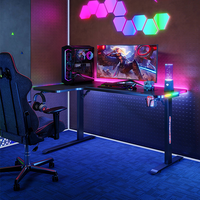 Bureau de Jeu PC de Style E-Sport Ergonomique en Fibre de Carbone P2PB, Table de Jeu Informatique Offre Spéciale