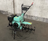 Moteur à essence 4 temps refroidi par air, série 7 à 15 CV (170F, 177F, 182F, 188F) pour machines agricoles - Vente en gros usine
