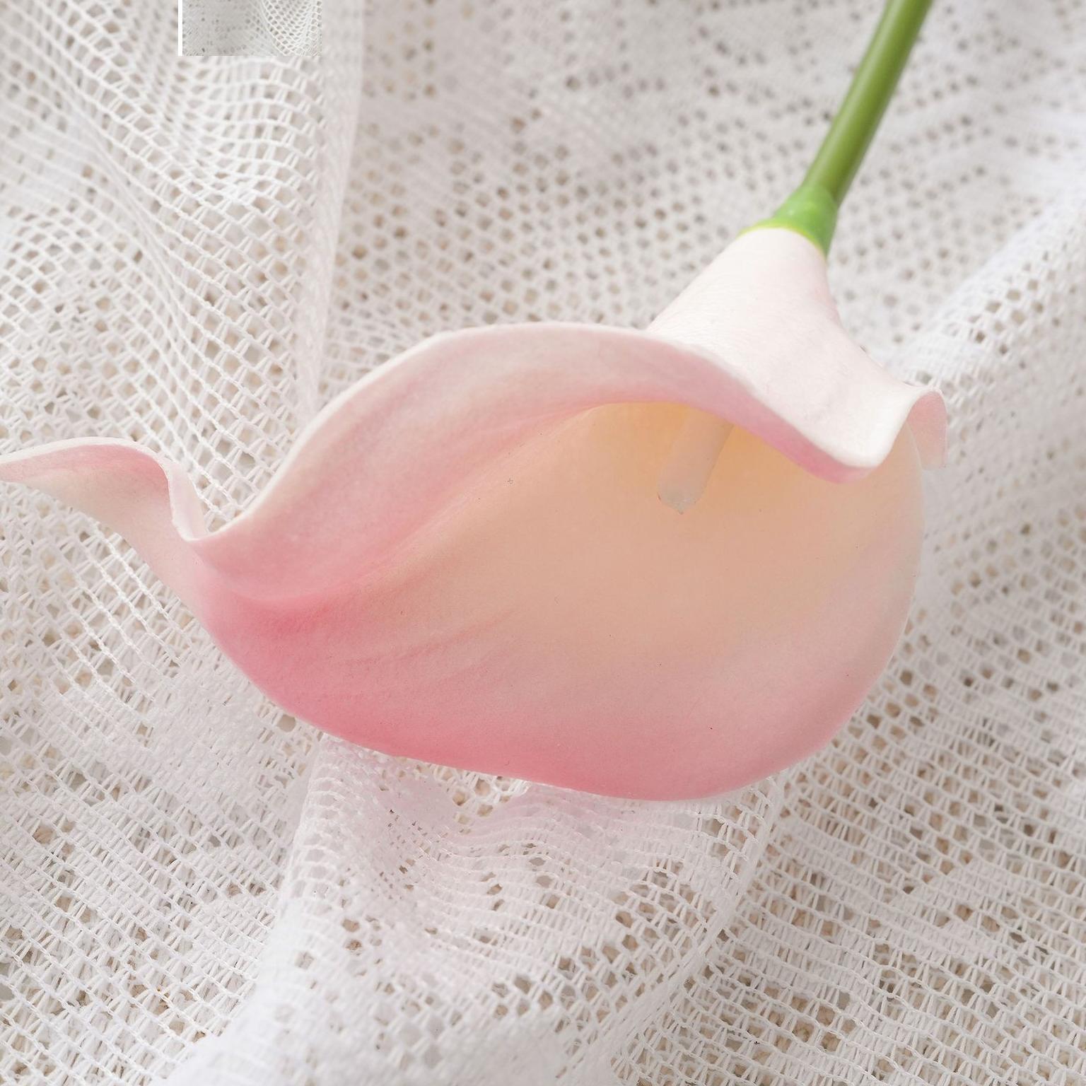 Rose tendre