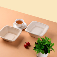 Boîtes à lunch modernes et minimalistes en pulpe de canne à sucre jetables en gros avec couvercles, contenants repas biodégradables haut de gamme 1000ml pour plats à emporter