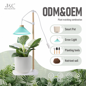 Kit de culture de <span class=keywords><strong>cactus</strong></span> avec lampe de table à base en bois réglable en hauteur J&C Minigarden 9w, kit de démarrage de jardin d'herbes écologique - Product Image 1