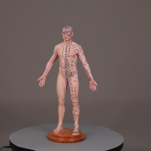 55cm Corps Points D'<span class=keywords><strong>acupuncture</strong></span> Chinois Silicone Acupoints Modèle Humain Grande Base Point Fixe Conception Modèle D'<span class=keywords><strong>acupuncture</strong></span> - Product Image 5