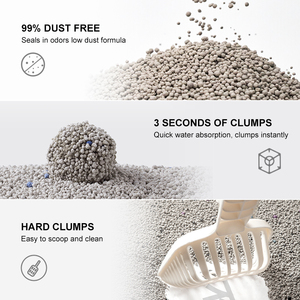 2025热卖球形膨润土猫砂OEM/ODM多香味无尘强力结块猫砂 - Product Image 6