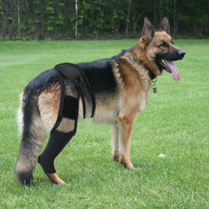 Dog <b>Thigh</b> Protector Leg Brace Black Smlxl Joint <b>Support</b> Recovery Gear For Dog Pet Protection - Product Image 2