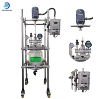 Reactor de fase sólida personalizado Yangmai YMGX-5EX, nuevo modelo de 5L, reactor de vidrio con circulador de calentamiento y enfriamiento, motor de alta precisión