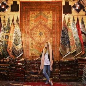 <span class=keywords><strong>Tapis</strong></span> persan, <span class=keywords><strong>tapis</strong></span> iranien en polyester imprimé 10 mm, style Asie du Sud-Est, <span class=keywords><strong>tapis</strong></span> de luxe pour salon, grand <span class=keywords><strong>tapis</strong></span> lavable - Product Image 2