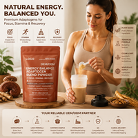 Poudre de mélange adaptogène énergétique pour adultes certifiée GMP, marque privée, végétalienne, vente en gros directe usine, pour la concentration et l'endurance, personnalisable
