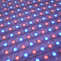 Écran LED en maille transparente à grille de pixels WPC étanche P31 25 à haute luminosité pour mur-rideau, façade, panneau d'affichage numérique