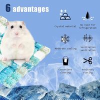 Vente en gros de lit de refroidissement pour animaux de compagnie en verre cristal de 6"x6", tapis rafraîchissant pour petits animaux, hamster, lapin, cochon d'Inde, chinchilla, furet