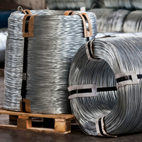 Bobine de fil d'acier galvanisé laminé à chaud de 2,1 à 3,0 mm de diamètre, fournie par l'usine, pour clôtures et filets d'élevage, avec services de découpe et de pliage