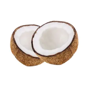 Хит продаж, 2023 сельское хозяйство, натуральный кокосовый Сушеный кокос, поставщик, изготовление упаковки на заказ из Вьетнама