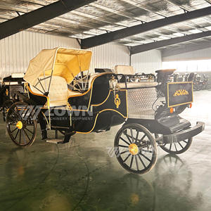 Carruaje de caballos blanco real de la reina de soldadura automática Carruaje de turismo tripulado eléctrico romántico para la venta - Product Image 2