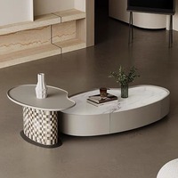 Meubles de salon nordiques Table basse moderne en marbre et ensemble de meuble TV Petite table basse de forme spéciale