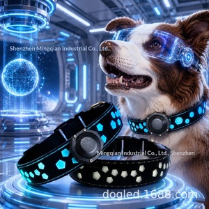 Collar para mascotas estilo princesa con iluminación LED de plástico, el más vendido transfronterizo, desmontable, con <span class=keywords><strong>grabado</strong></span> personalizable para <span class=keywords><strong>Airtag</strong></span> - Product Image 2