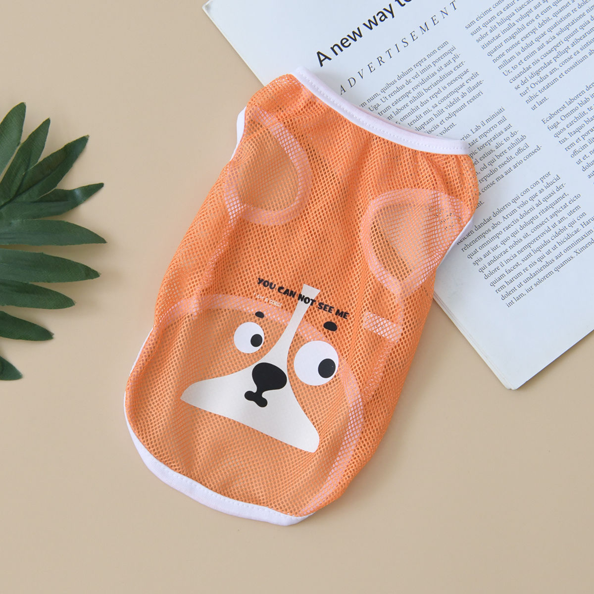 Orange puppy