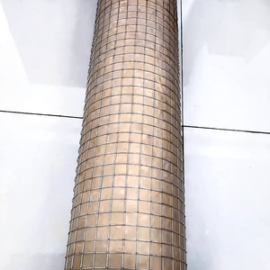 גלילי רשת תיל מגולוונת מרותכת במחיר נוח לגידור בעלי חיים ויישומים חקלאיים - Product Image 3