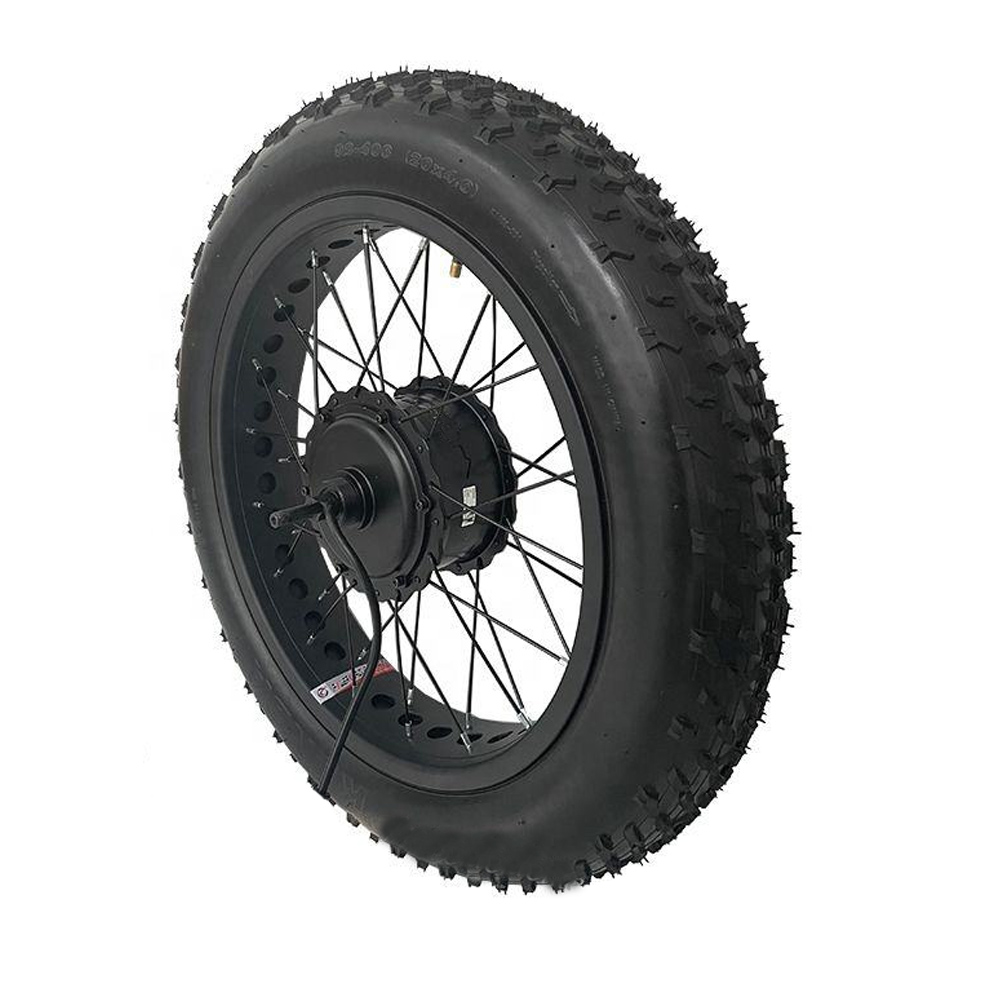 DGWZ 20 Inch Fat 20x4.0 Tire Brushless Geared 48V 52V 750W 1000W
