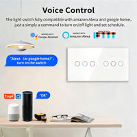 NOVSKI 157*86MM Interrupteurs intelligents EU et UK avec indicateur LED pour Alexa Google Home, panneau en verre blanc, noir, gris, doré