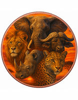 5oz .999 Saf Bakır Modern 65mm Libertad Afrika Büyük Beş Hayvanı Vahşi Yaşam 3D İşlemeli Madeni Para Fil/Aslan/Leopar/Gergedan/Buzağı Hayvanı