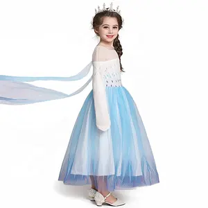 2021 새로운 도착 공주 드레스 엘사 드레스 엘사 의상 중국 여자 할로윈 생일 파티 뜨거운 판매 어린이 아이 5pcs