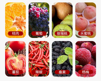 Kleinschalige Tamarinde Mango Zaad Verwijderen Tomaat Aardbei Pastap Maken Extractie Fruitpulp Machine