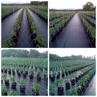 Tissu résistant de barrière de mauvaises herbes de couverture de sol tissu d'aménagement paysager lutte contre les mauvaises herbes tissées agricoles