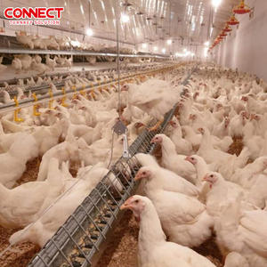 โครงการโรงเรือนเลี้ยงไก่เนื้อและไก่ไข่แบบครบวงจรพร้อมอุปกรณ์เลี้ยงสัตว์ปีกครบชุด MRS-4.5(1802) อุปกรณ์อัตโนมัติเต็มรูปแบบ - Product Image 4
