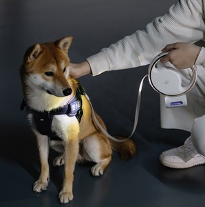 犬の供給のための充電式LEDフラッシュライト廃棄物うんちバッグディスペンサーを備えた散歩犬用の3メートルの格納式ペット犬の鎖 - Product Image 1