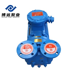 ปั๊มสุญญากาศอุตสาหกรรม BOYUAN รุ่น 2BV ซีรีส์ 2BV5111 แบบวงแหวน OEM คอมเพรสเซอร์หมุนเวียนน้ำ 1-20 - Product Image 5