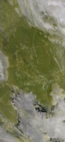 Dalle de quartzite vert poli de luxe, veines ondulées naturelles, finition haute brillance, pour plateau de table à manger moderne et décoration murale et de sol intérieure