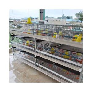 Cage pour poulets de chair de type H avec chauffage pour poussins de 1 jour - Product Image 1
