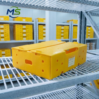 Ventilerende PP golfkartonnen fruit- en groentebak, herbruikbare productencontainer voor landbouw en voedseltransport