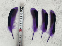 Plumes de corps de canard colvert de 6 à 8 pouces en gros, plumes d'aile de canard colvert bleues irisées pour la décoration de bijoux DIY