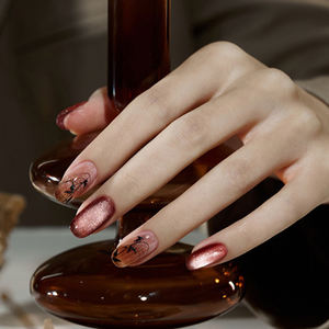 AILANUO 24 Vernis à ongles gel œil de chat coloré beauté automne - Série œil de chat magnétique TPO - Sans HEMA OEM/ODM Vernis à ongles gel UV - Product Image 3