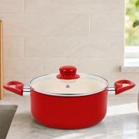 Casserole avec couvercle, marmite de cuisine, pot à soupe, chauffe uniformément, poignée anti-chaleur